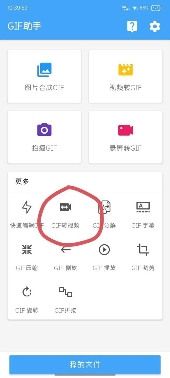 图片[1]-教你如何设置QQ动态头像，成为最靓的仔-觅影博客网
